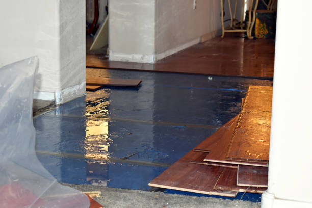 Professional Basement Flood Cleanup technician working in Mukwonago, WI
